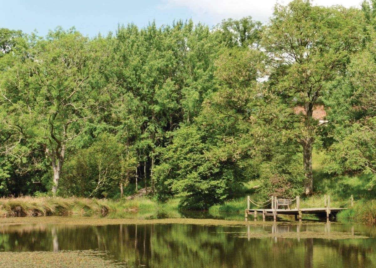 Mill Meadow Lodges Llanbister Extérieur photo